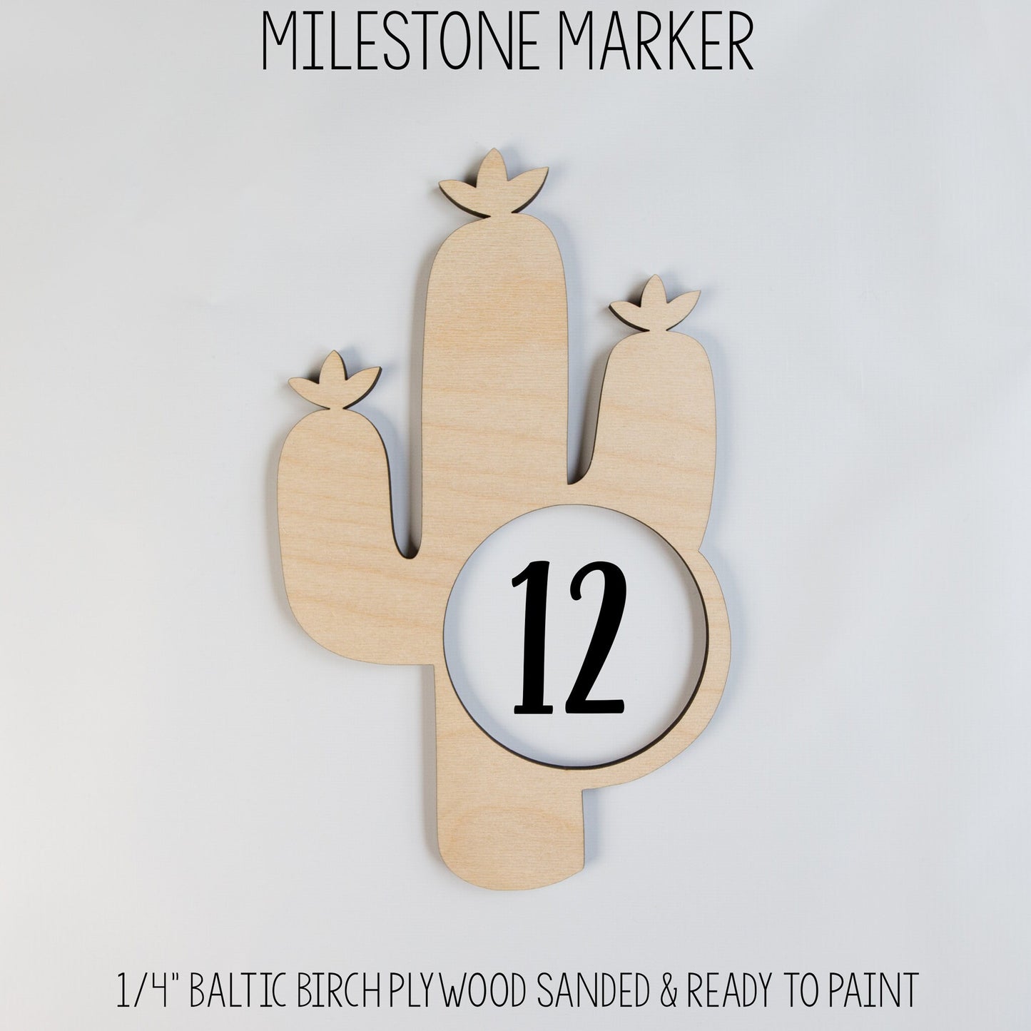 Elegant Succulent Nursery Baby Milestone Blanket