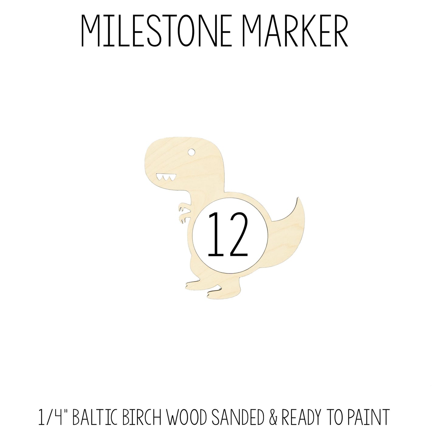 Girl Dinosaur Baby Milestone Blanket, G57