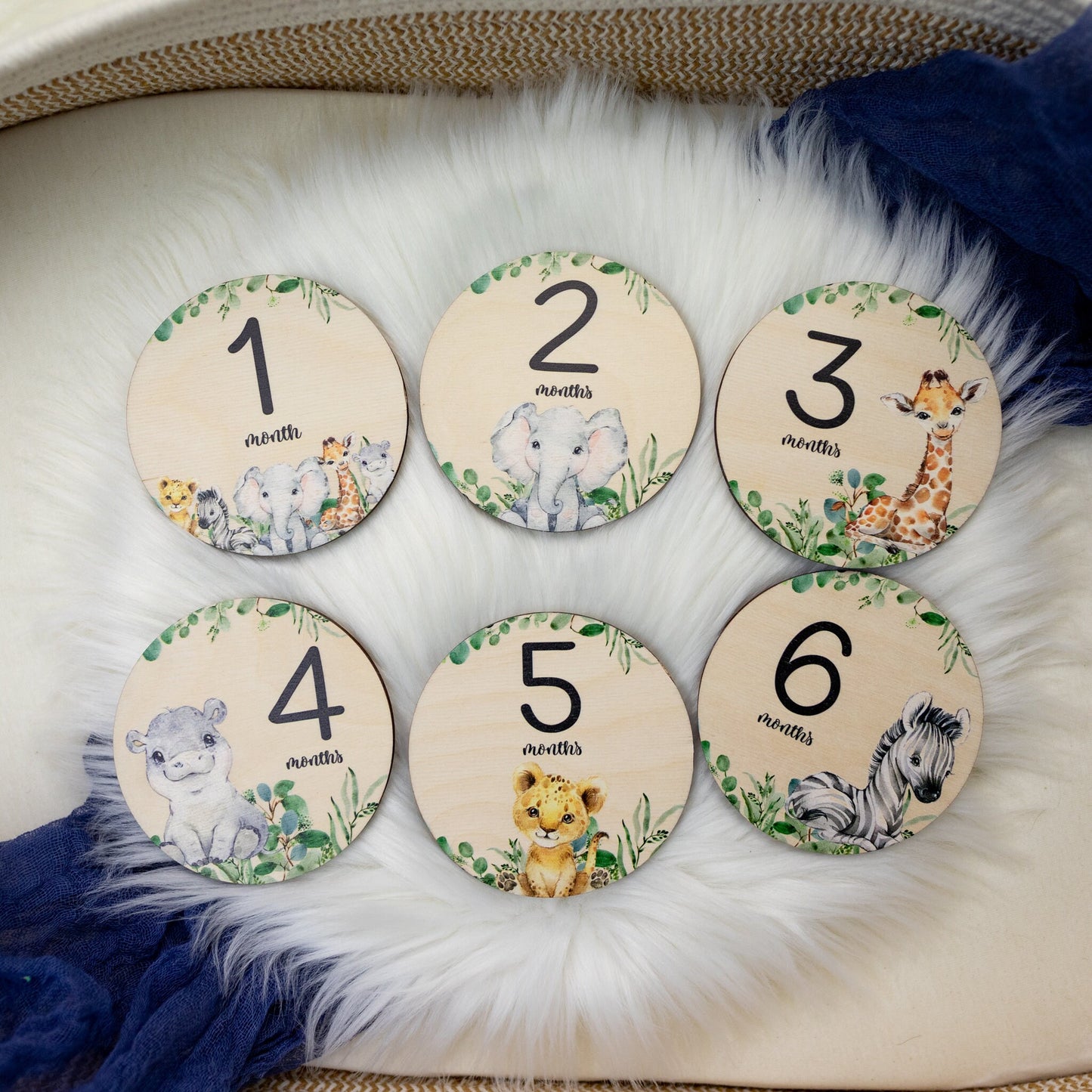 Safari Milestone Cards, Wood Discs S1