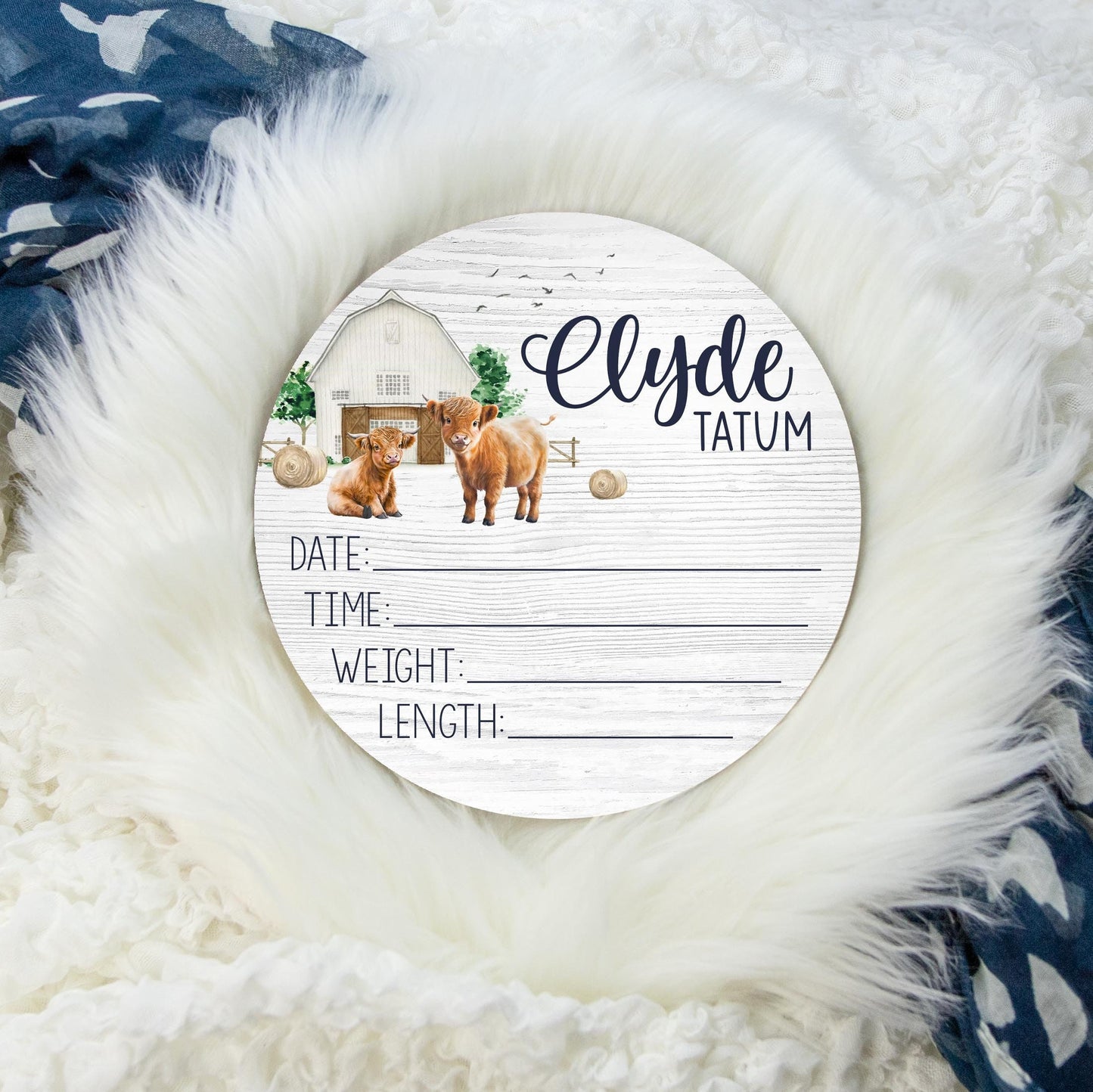 Highland Cow Wood Birth Stat Sign, C31