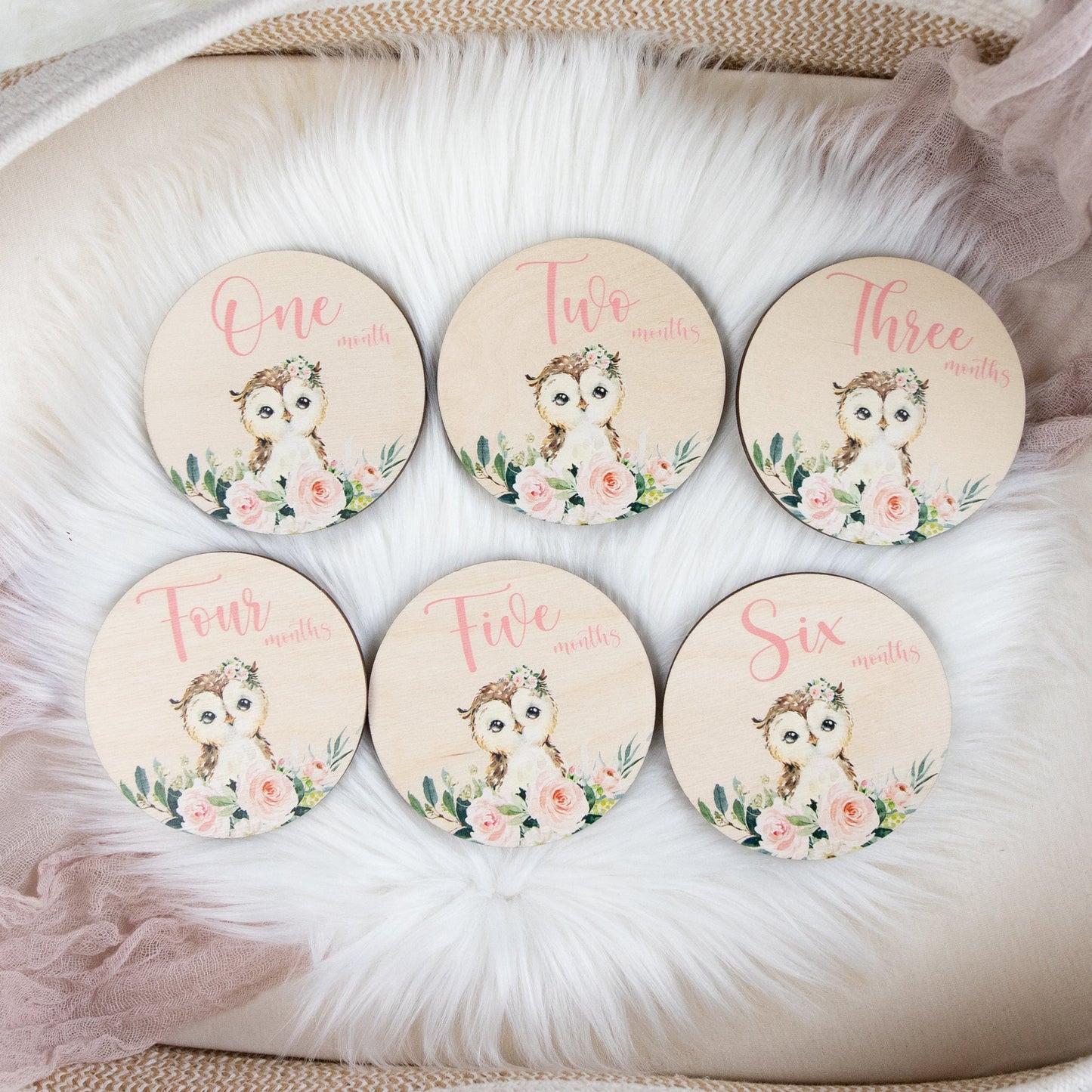 Owl Milestone Cards, Woodland Discs, W21