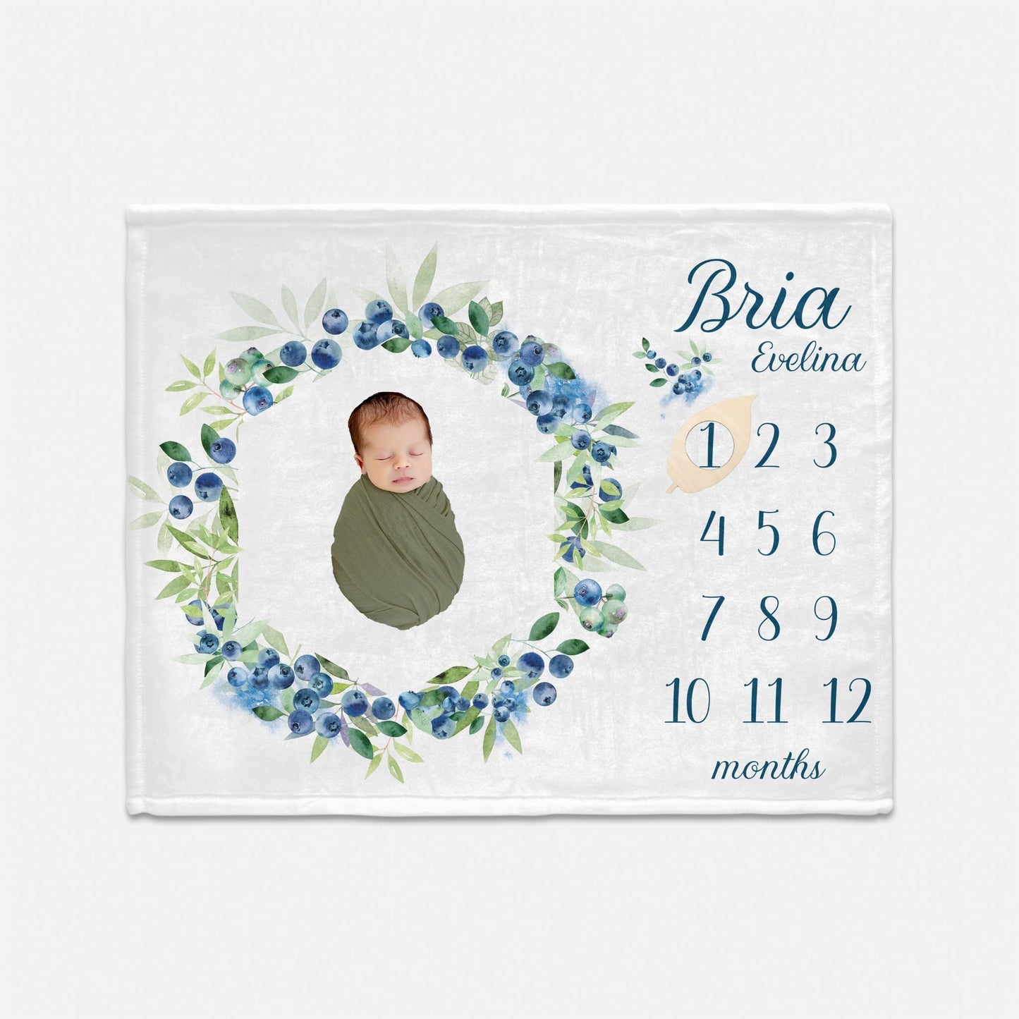 Blueberry Girl Milestone Blanket, F95
