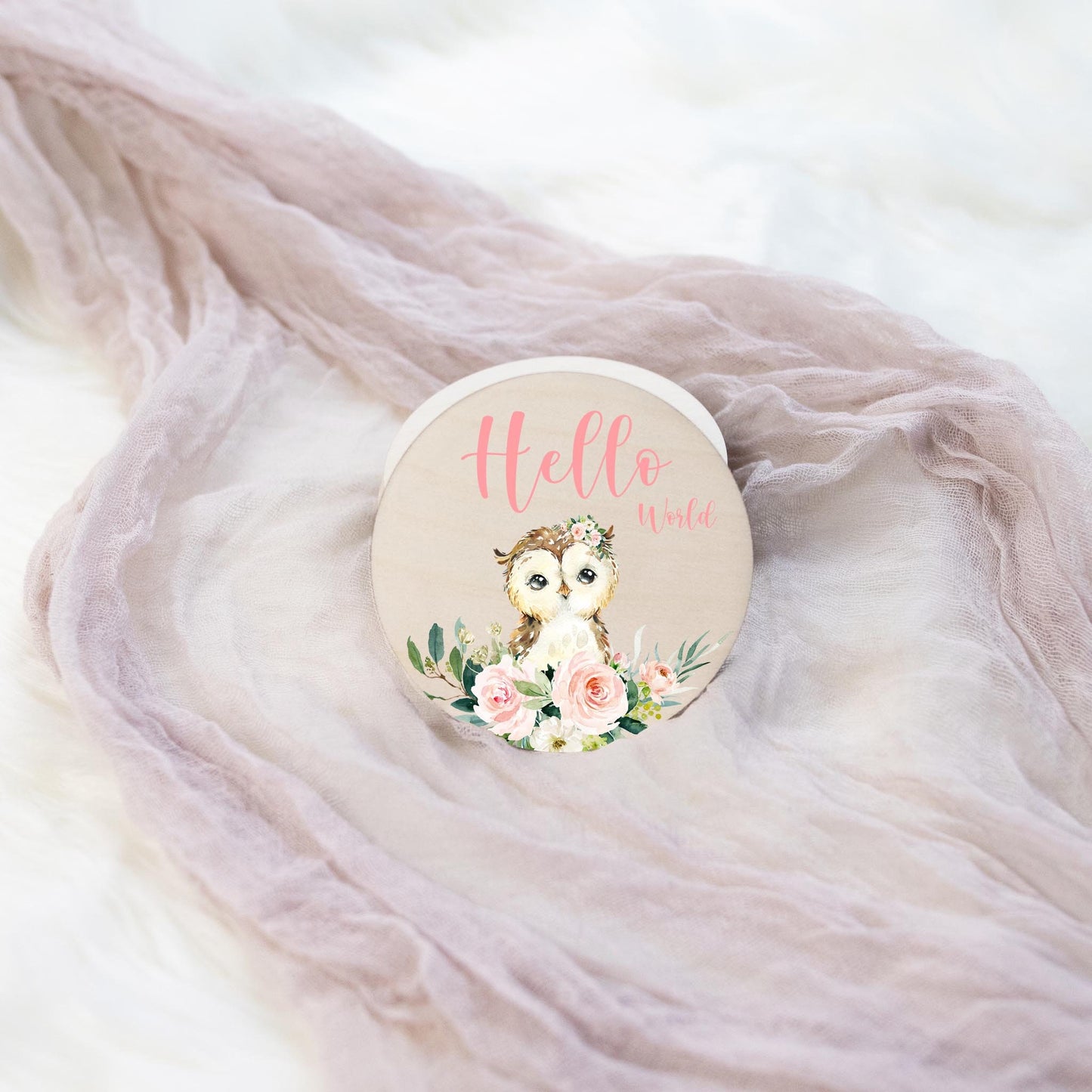 Owl Milestone Cards, Woodland Discs, W21
