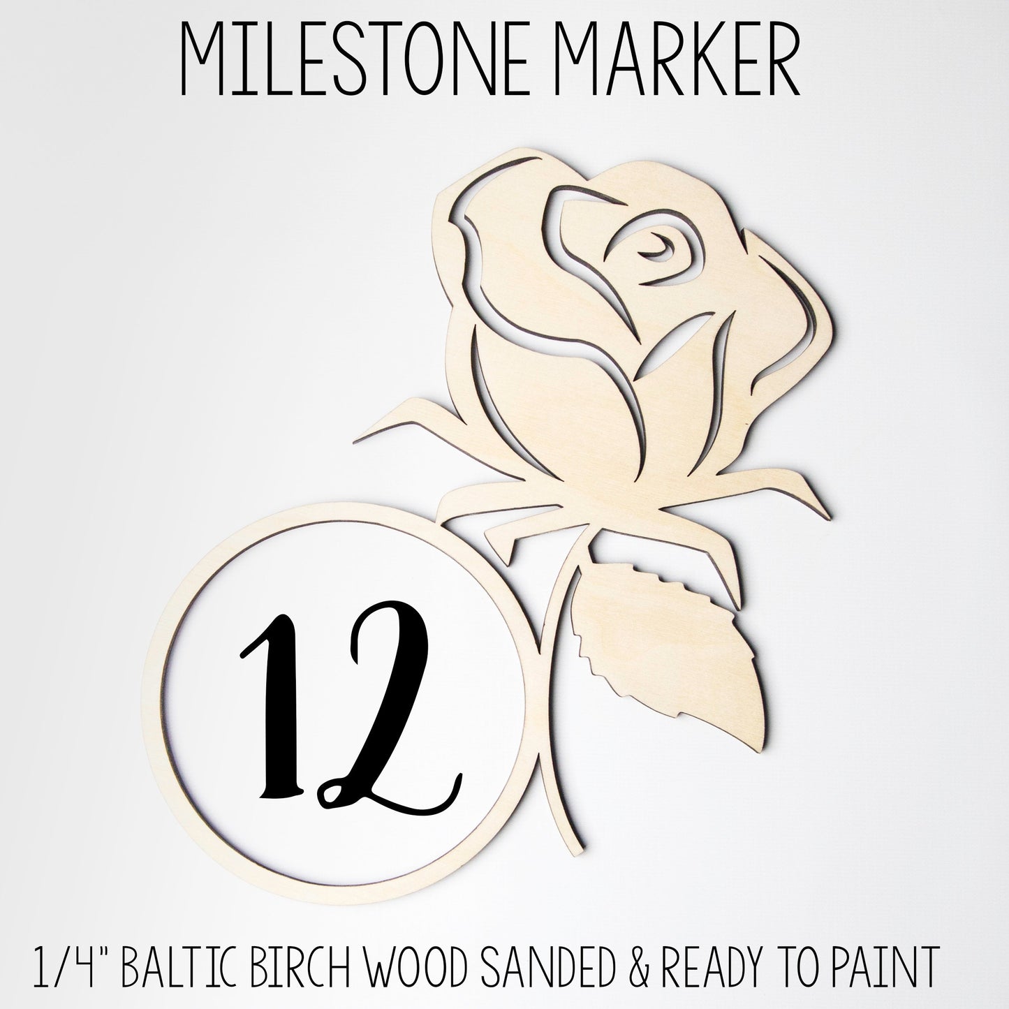 Elegant Rose and Greenery Nursery Baby Milestone Blanket, F69