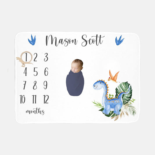 Dinosaur Baby Boy Milestone Blanket, B6