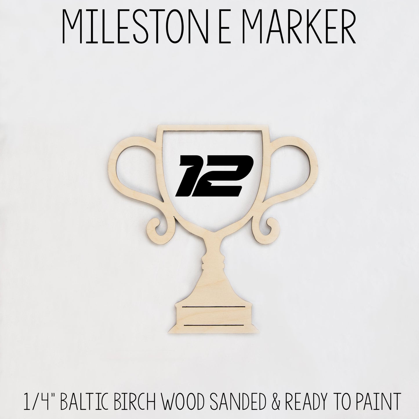 Race Car Baby Milestone Blanket, Vintage Race Car B66