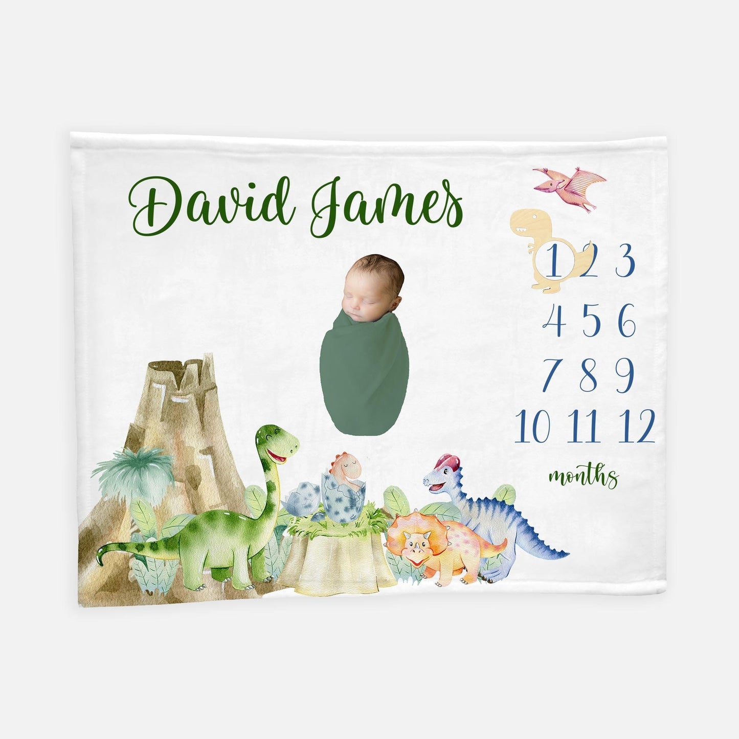 Dinosaur Baby Boy Milestone Blanket, B7