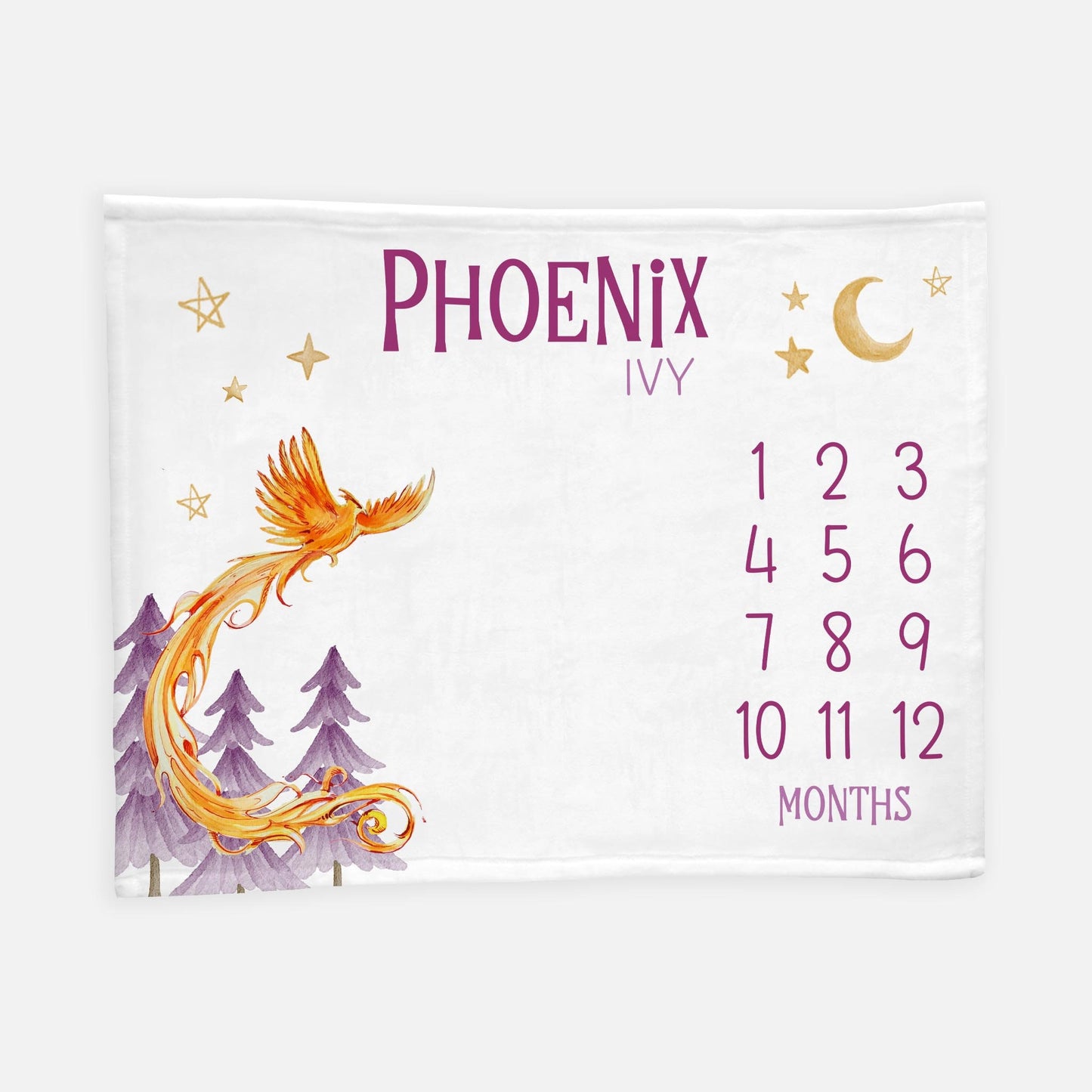 Phoenix Baby Milestone Blanket, Girl B30