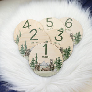 Bear Milestone Cards, Wooden Woodland Markers, W31