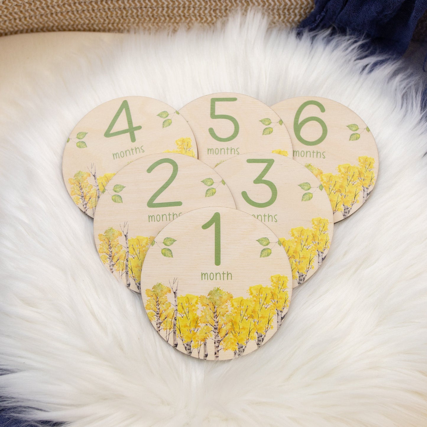 Aspen Trees Wood Milestone Cards, Woodland theme W41