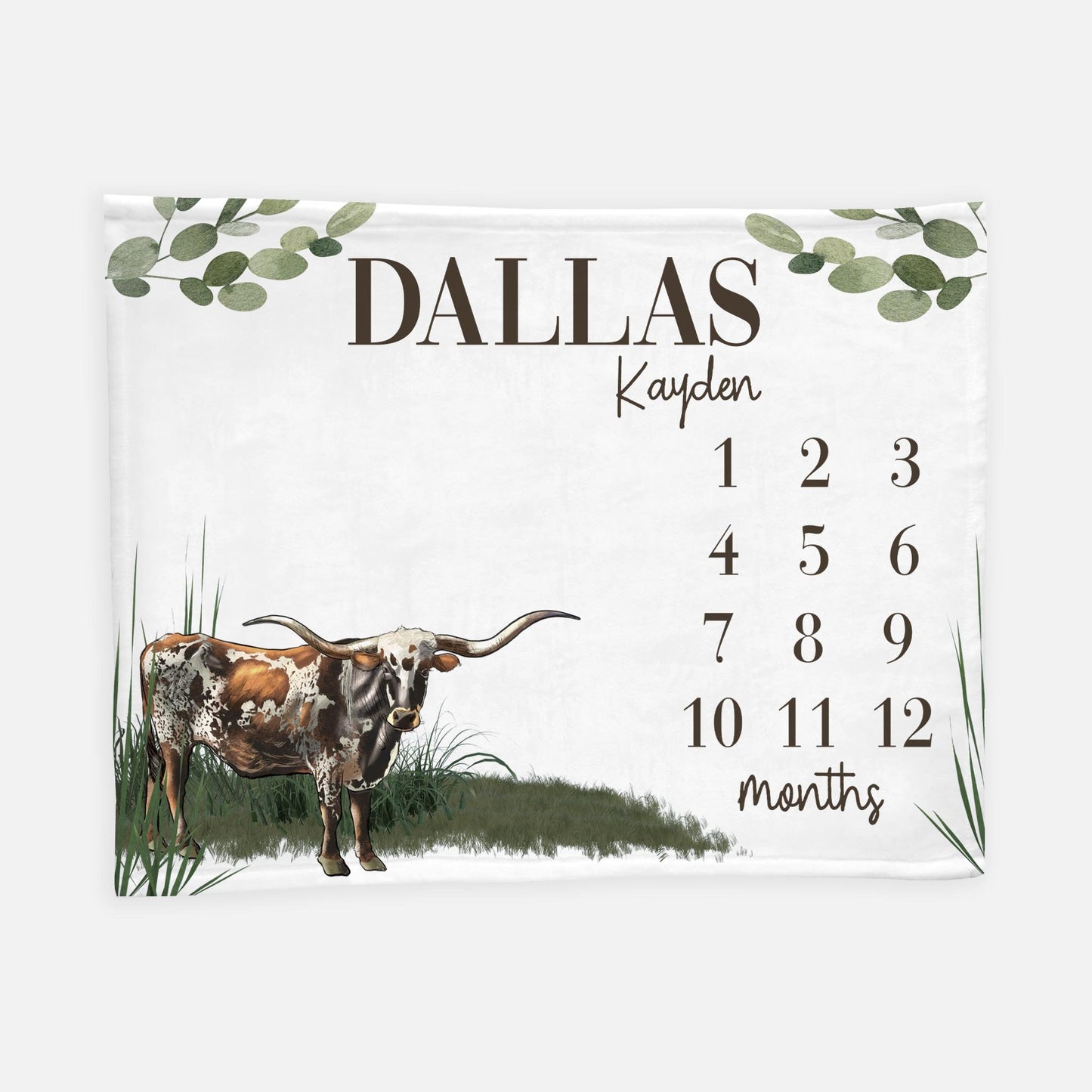 Longhorn Cow Milestone Blanket, Boy C30