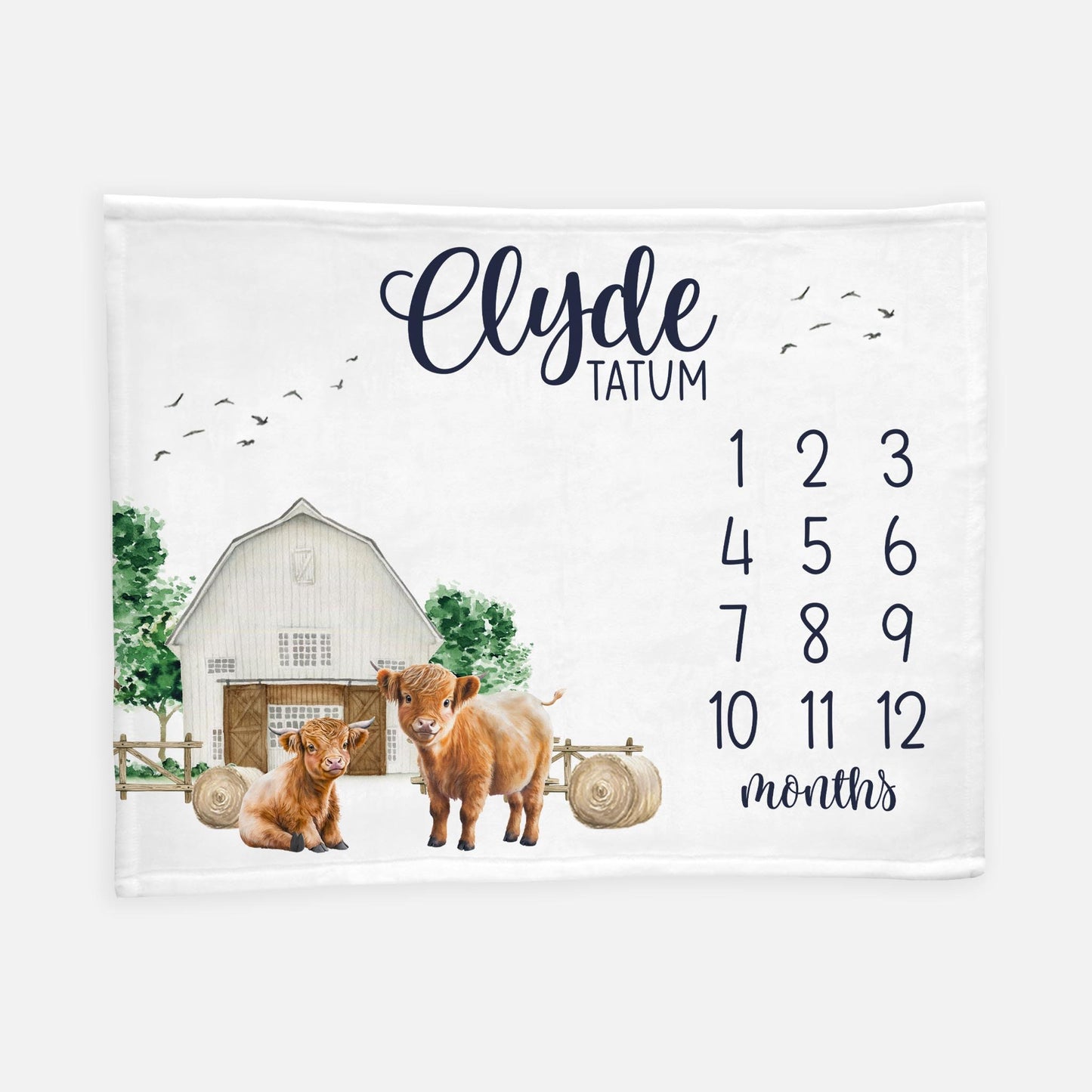 Baby Highland Cow Milestone Blanket, Boy C31