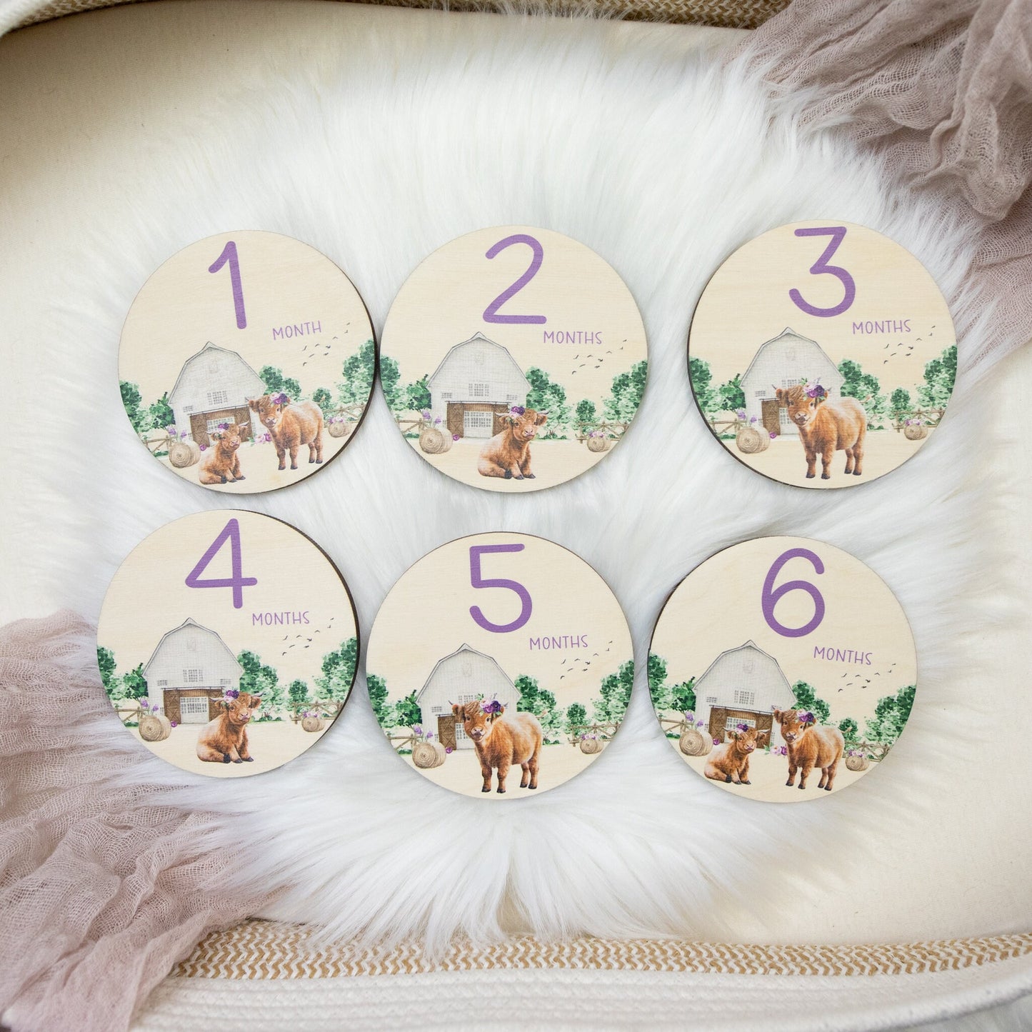 Highland Cow Wood Milestone Cards, C31