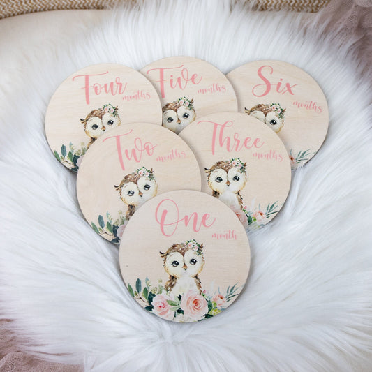 Owl Milestone Cards, Woodland Discs, W21