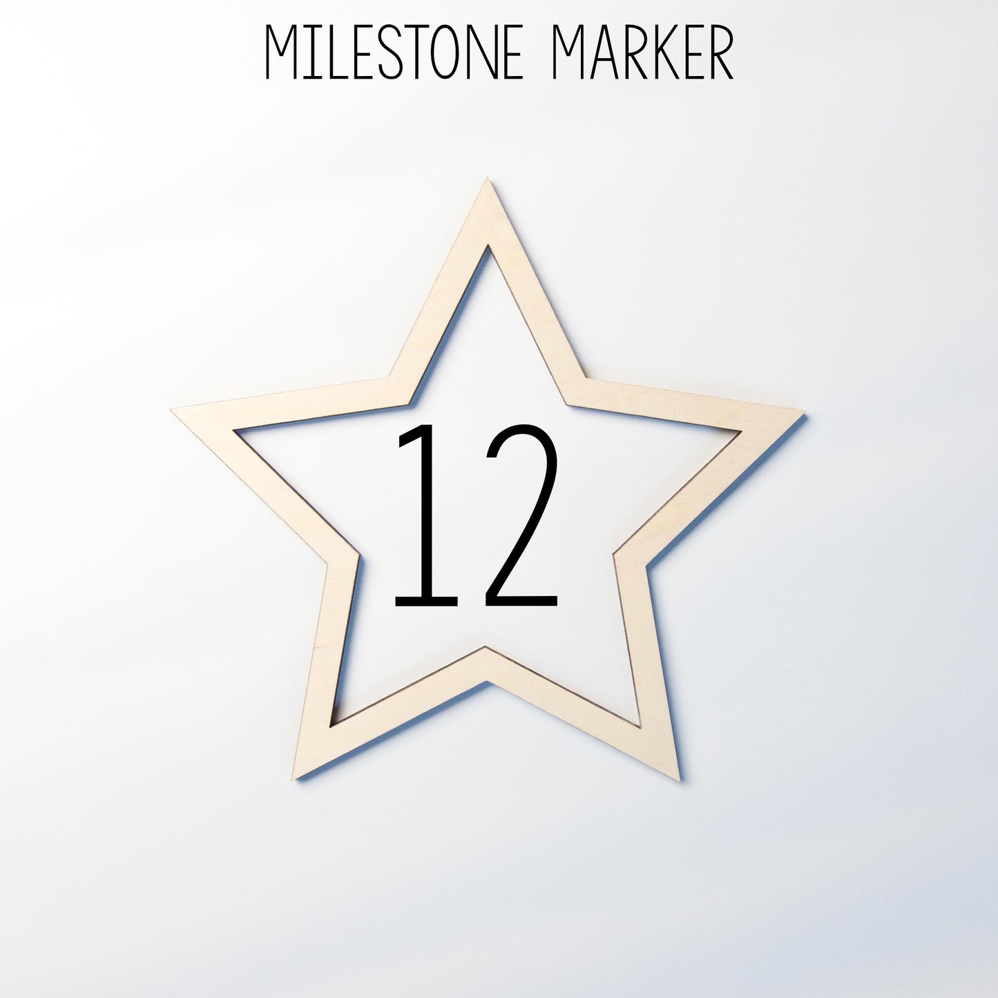 Carousel Baby Milestone Blanket, B31