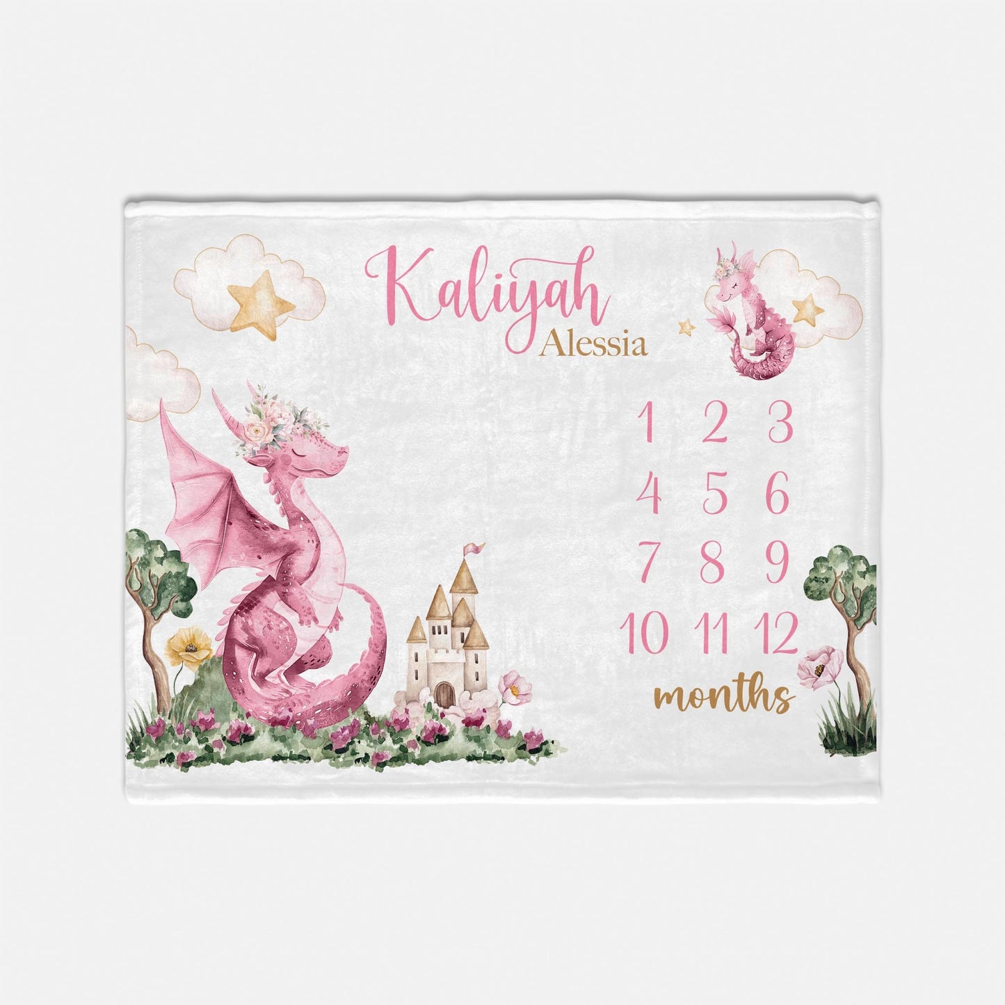 Girl Dragon Baby Milestone Blanket, G81