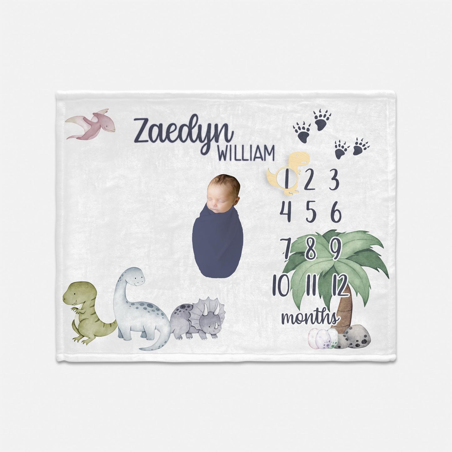 Dinosaur Baby Boy Milestone Blanket, B23