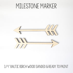 Arrow Milestone Marker