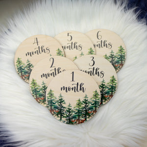 Forest Milestone Cards, Baby Milestone Forest Discs Marker, Wood Milestone Card, Baby Milestones, Photo Prop, Forest Woodland Nursery W10