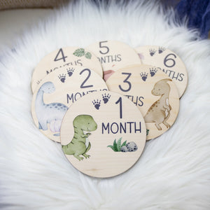 Dinosaur Milestone Cards, Baby Milestone Dinosaur Discs Marker, Wood Milestone Card, Baby Milestones, Photo Prop, Dinosaur Nursery Theme B23