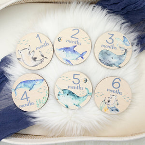 Shark Milestone Cards, Baby Milestone Ocean Life Discs Marker, Wood Milestone Cards, Baby Milestones, Under The Sea Nursery Theme O3