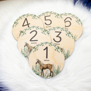 Horse Milestone Cards, Pony Milestone Cards, Wood Milestone Card, Baby Milestones, Photo Prop, Horse Nursery Theme C20