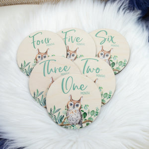 Owl Milestone Cards, Baby Milestone Woodland Discs Marker, Wood Milestone Card, Baby Milestones, Photo Prop, Woodland Owl Nursery Theme, W37