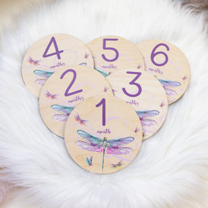 Dragonfly Milestone Cards, Baby Milestone Butterfly Discs Marker, Wood Milestone Card, Baby Milestones, Photo Prop, Dragonfly Nursery G39